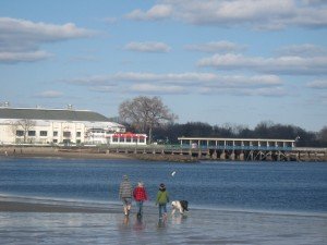 IMG_5453