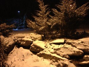 IMG_0886