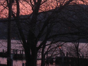 IMG_5517