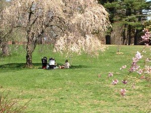 IMG_1487