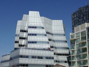 IMG_1509