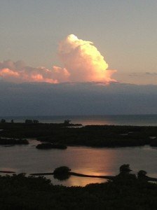 IMG_1781