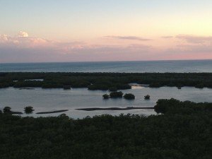 IMG_1737