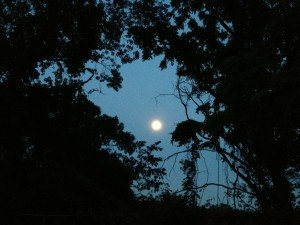 IMG_2085
