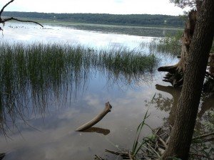 IMG_2200
