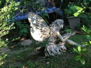 IMG_2244