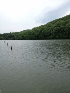 IMG_2177