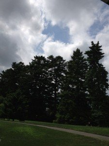 IMG_2312