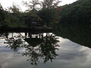 IMG_2397