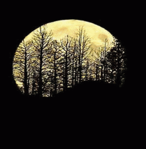 harvest-moon